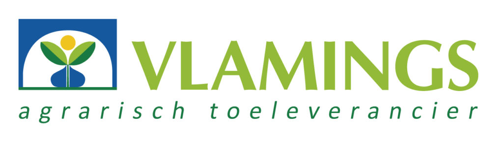 Vlamings